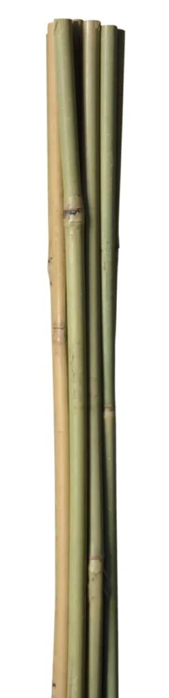 Bambuspinne - 180 cm 4 stk.