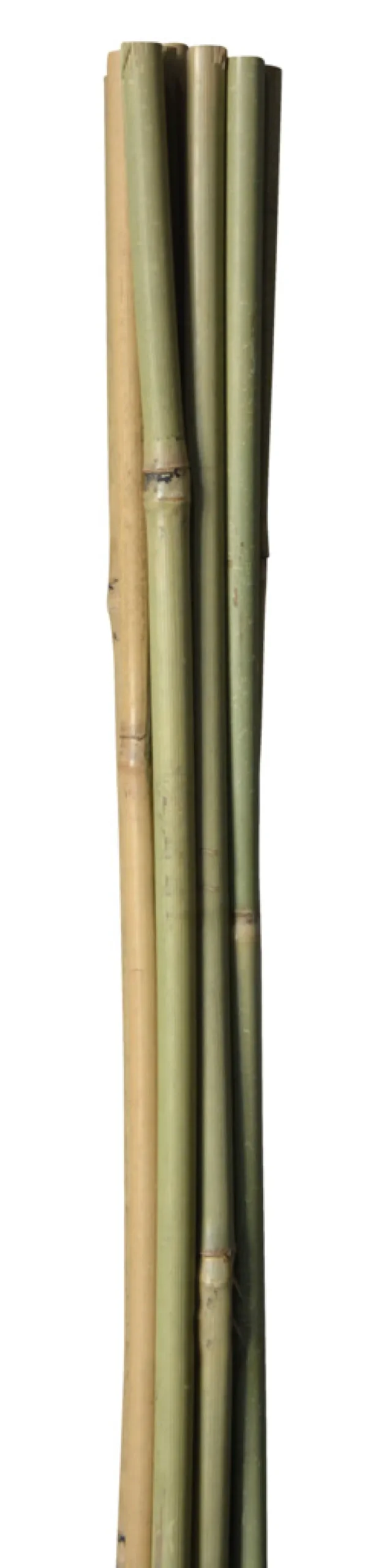 Bambuspinne 120 cm 4 stk.