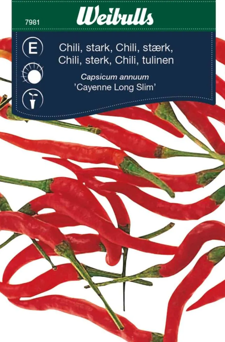 Chilipepper, sterk 'Cayenne Long Slim'