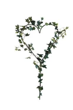 Espalier hjerteformet 39 x 79 cm - Gardenlife