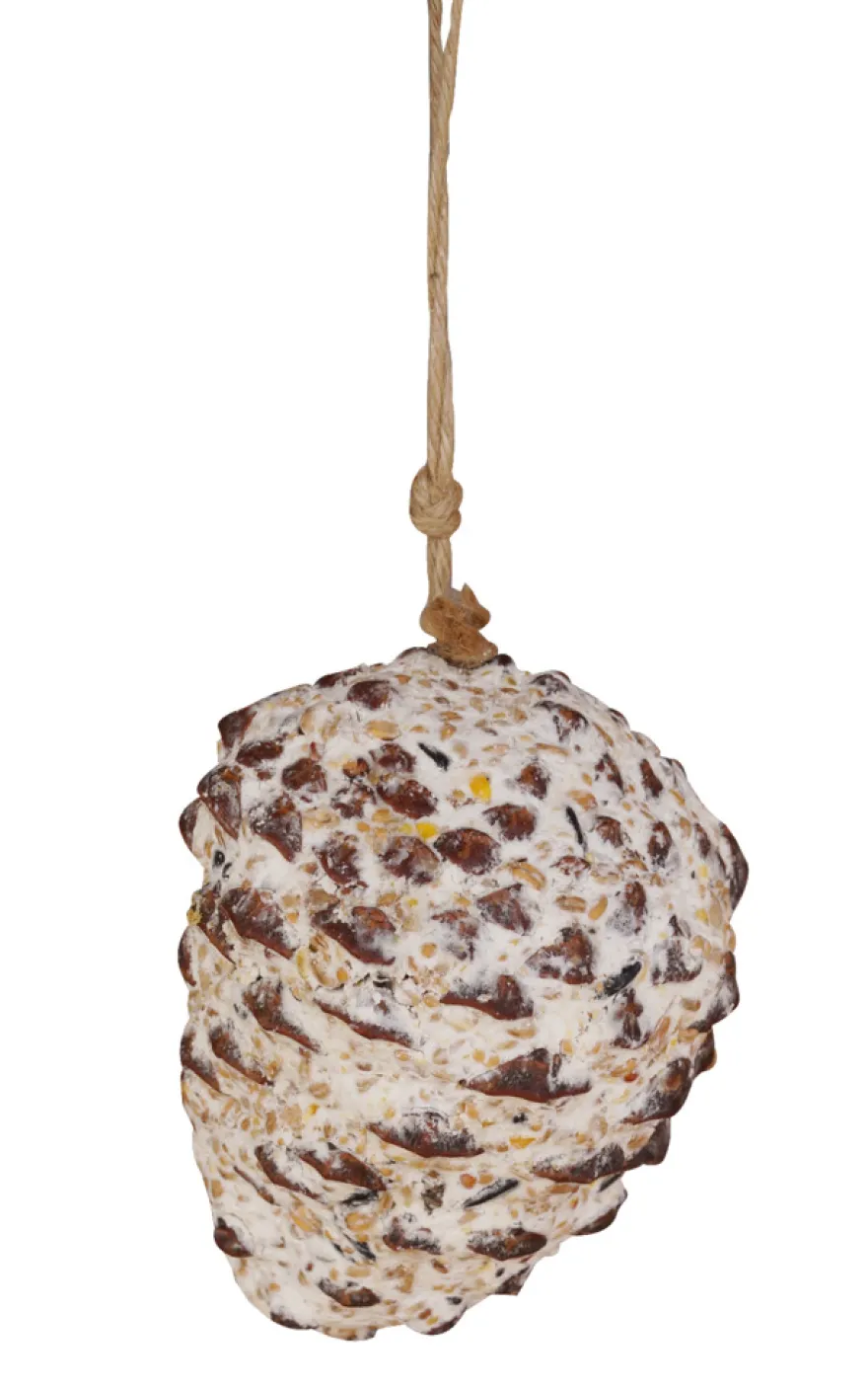 Fuglemat grankongle