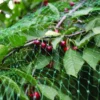 Fuglenett 2 x 5 meter - Garden®