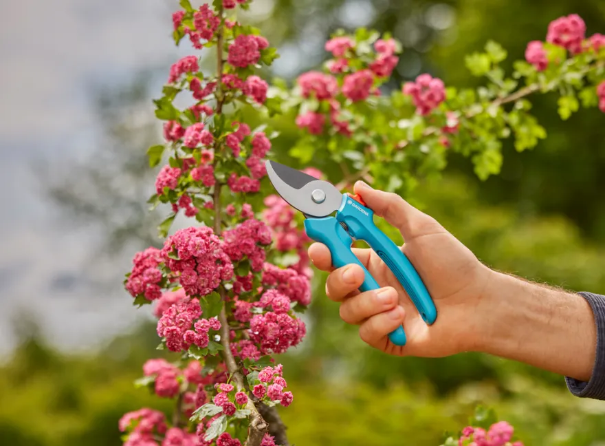 Gardena beskjæringssaks EasyCut