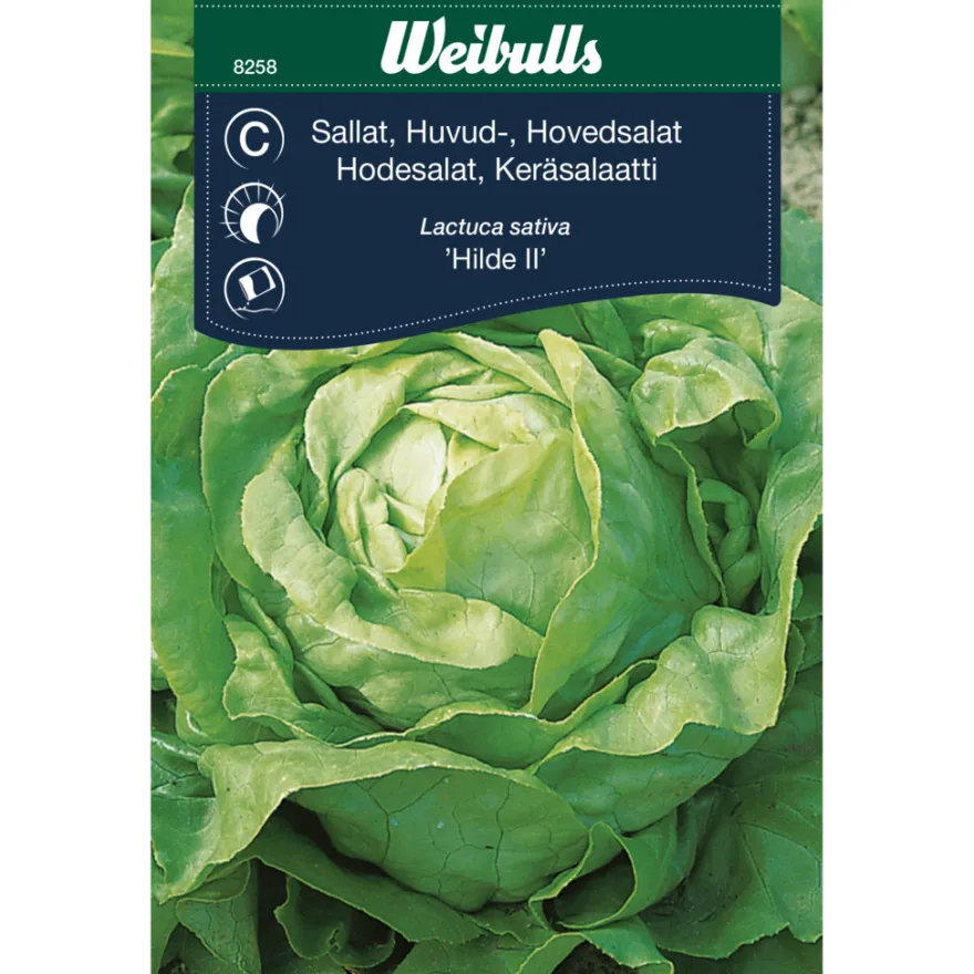 Hodesalat 'Hilde II'