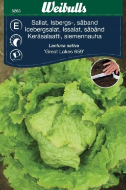 Isbergsalat med såbånd, "Great Lakes"