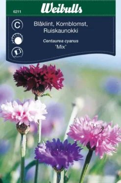 Kornblomst 'Mix'