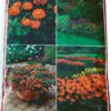 Plantejord 40 liter