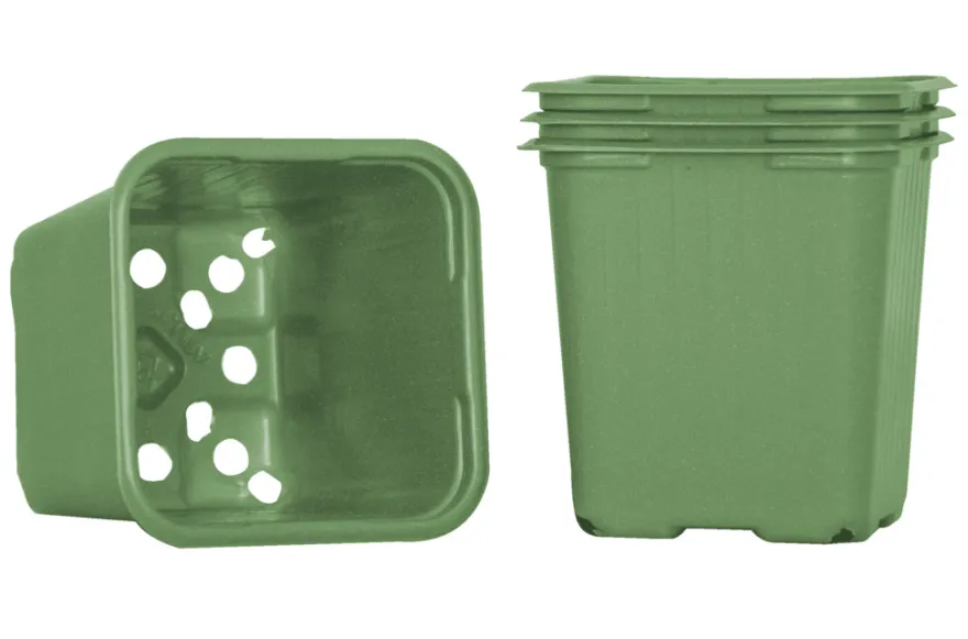 Plantepotter grønn 8 cm - 20 stk.