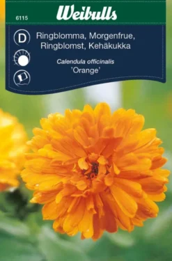 Ringblomst "Orange"