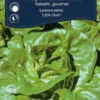 Salat, gourmet 'Little Gem'