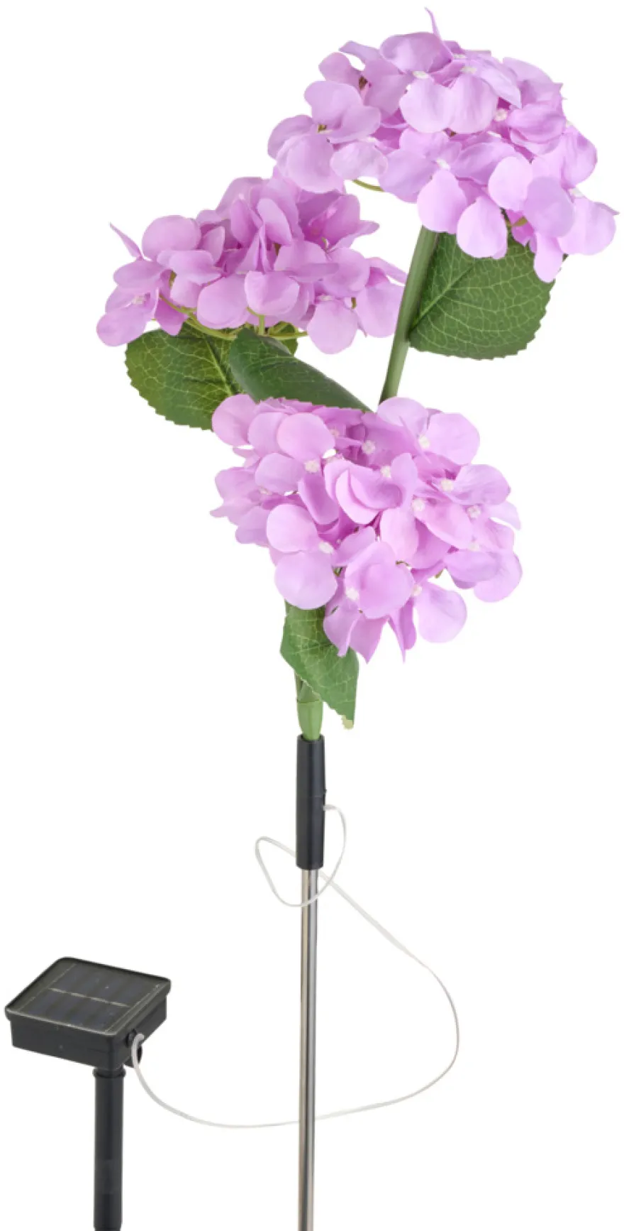 Solcelleblomst Hortensia – Garden®