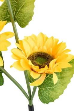 Solcelleblomst Solsikke – Garden®