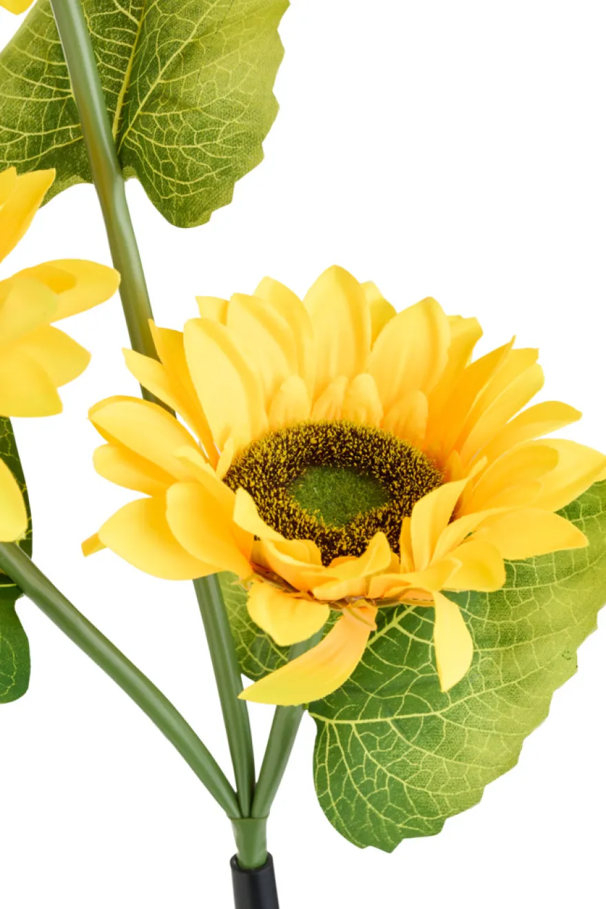 Solcelleblomst Solsikke – Garden®