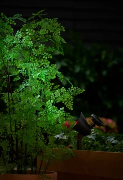 Solcellelampe Spotlight svart 19 cm - Garden®