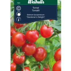 Tomat 'Gardener's delight'